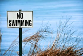 The Halifax Regional Municipality (HRM) has closed Lake Echo Beach for swimming after confirming high levels of bacteria in the water. Stock photo.
