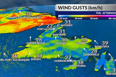 No rain expected to fall on central Newfoundland forest fires over the next few days