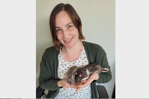 Amanda Smith believes rats are great company. She has had pet rats most of her life and currently fosters with Rat Rescue Nova Scotia. With Smith are Ashe, on the left, and Michael. Both rats have been rescued and are in forever homes. CONTRIBUTED