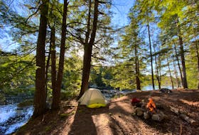 Walk in the Woods this week looks at etiquette around camping.