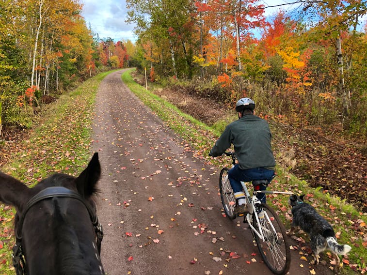 Sylvia Hall Andrews takes Sweet Silvia, a racing standardbred, for a ride alongside husband Wayde Andrews on his bike and their pup Spy near O'Leary in October 2021. - Contributed by Sylvia Hall Andrews.