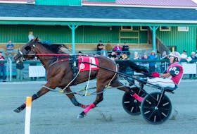 Dontblvmejustwatch and Randy Getto captured the Aug. 11 evening feature race at Northside Downs in 1:56.2. CONTRIBUTED/TANYA ROMEO