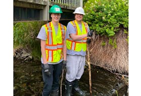 Waterford Watershed Green Team members Andrew Chaulk and Connor Battcock look for temperature loggers in the river in one of the many efforts the team has undertaken this summer to protect and restore the Waterford Watershed. - Contributed