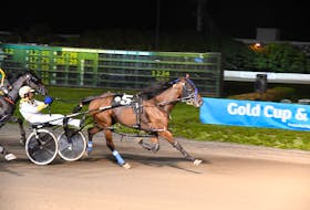 Wally Hennessey drives Patrikthepiranha A to victory in Trial 3 for the Gold Cup and Saucer, presented by Atlantic Lottery. Patrikthepiranha A stopped the clock in 1:51.3 at Red Shores Racetrack and Casino at the Charlottetown Driving Park on Aug. 15. Gail MacDonald Photo