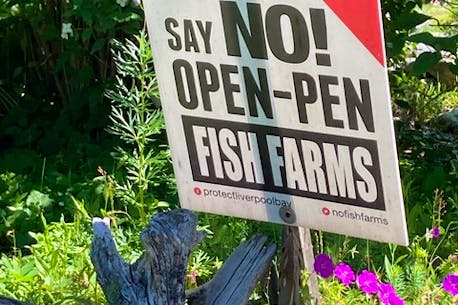 WENDY ELLIOTT: Open-pen fish farming's farcical oversight