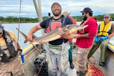 Levi Cliche of the Clean Annapolis River Project with a sturgeon that was caught, tagged and released on the Annapolis River last weekend.