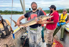 Levi Cliche of the Clean Annapolis River Project with a sturgeon that was caught, tagged and released on the Annapolis River last weekend.