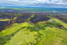 N.L. Premier Andrew Furey posted this aerial photo of the devastation caused by central Newfoundland wildfires to his Twitter account.
