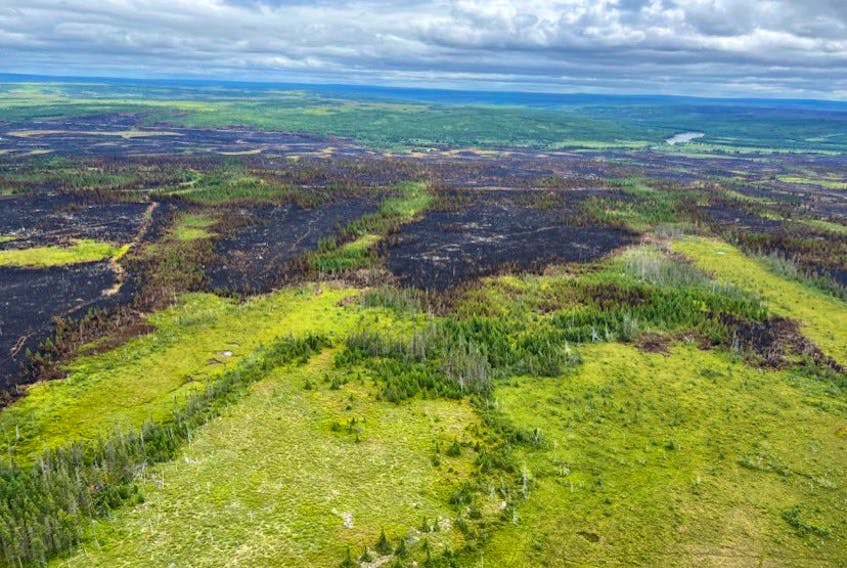 N.L. Premier Andrew Furey posted this aerial photo of the devastation caused by central Newfoundland wildfires to his Twitter account.