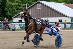 Mando Fun and driver Ryan Campbell are alone at the wire winning in 1:56.2 in the Saturday afternoon feature race at Northside Downs in North Sydney. PHOTO CONTRIBUTED/TANYA ROMEO