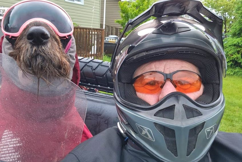 Yakira and Daniel Major are dressed for the weather as they travel across Newfoundland and Labrador on a recent motorcycle trip. Yakira loves to sport her signature goggles, specifically made for canines, as she rides in the sidecar. - Contributed