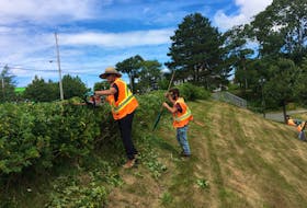 Summer is prime season for the Cape Breton Regional Municipality’s horticulturist Lorraine Crocker of Albert Bridge, foreground, who was out trimming rose bushes Tuesday in Sydney’s Wentworth Park with horticulture summer student Ryan Maxwell of Sydney Mines. CAPE BRETON POST STAFF PHOTO