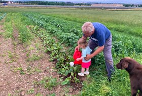 Grace Ruby and her poppy, Roger Ruby, tend to the vegetable patch on their family’s farmland in Kilbride, NL. Grace is learning about healthy eating from the ground up and loves checking her vegetables regularly to see what’s grown already. She is amazed with her squash and zucchini growth. Contributed photo