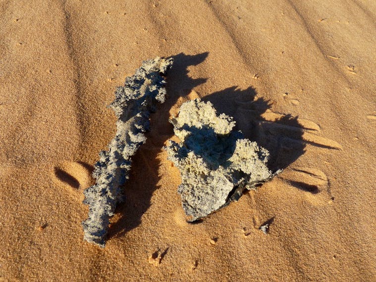 Fulgurites formed by lightning on sand. JI-ELLE/WIKIMEDIA COMMONS