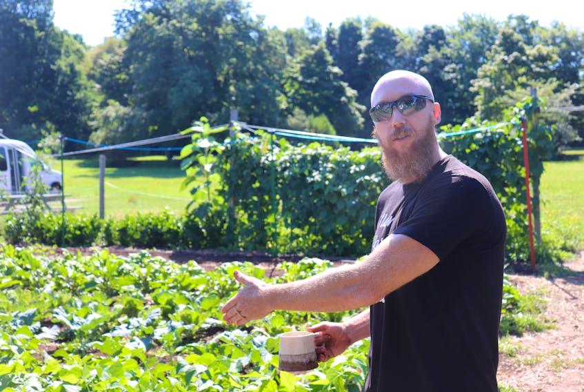 Dan Stewart, co-owner of The Burly Farmer, shows off some of the farm’s vegetables in Charlottetown. Stewart says the soil in the community garden boxes at Orlebar Park will have to be replaced before new plants can grow. - Logan MacLean • The Guardian