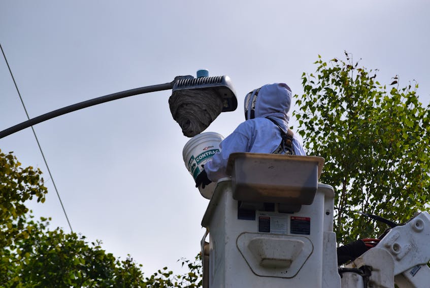 Craig Oikle used this bucket and his hands, no tools, to remove the nest from the streetlight.