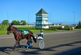 Driver Marc Campbell warms up a horse before a recent harness racing program at Red Shores Racetrack and Casino at the Charlottetown Driving Park. Jason Simmonds • The Guardian