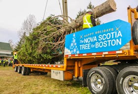 Non-profit organization L’Arche Cape Breton donated the 60-year-old white spruce tree that was shipped to Boston last year.