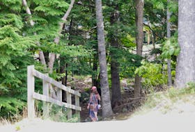 A woman walks along the Kearney Lake Dam Trail in Bedford on Tuesday. An 18-year-old man has been charged with sexually assaulting or harassing several women on the trail or at other locations in Bedford over the past few weeks.