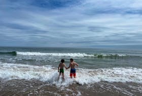 Lincoln and Griffin Grant, who are from British Columbia, spent 70 days this summer in Cape Breton on their grandparent’s campground, getting to know extended family and enjoying adventures. - Contributed