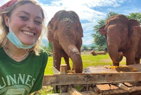 Bridget Abel, a 22-year-old student at the Atlantic Veterinary College in Charlottetown, spent two weeks in Thailand this summer caring for rescued elephants as part of an international program. Abel moved to P.E.I. when she was 12 years old, graduated from Charlottetown Rural in 2017 and majored in biology at UPEI before being accepted into AVC. Contributed