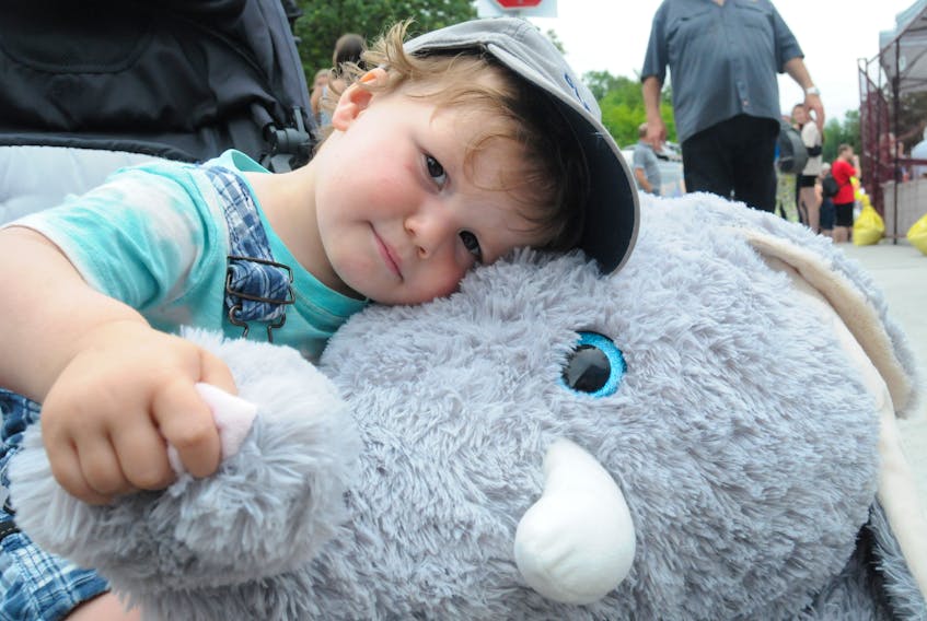 Cameron Reid, 2, of St. John’s clutches a large stuffed elephant that his mom won for him and his two sisters, Mackenzie and Hayley, at the Royal St. John’s Regatta at Quidi Vidi Lake in St. John’s on Thursday, Aug. 4. Joe Gibbons • The Telegram