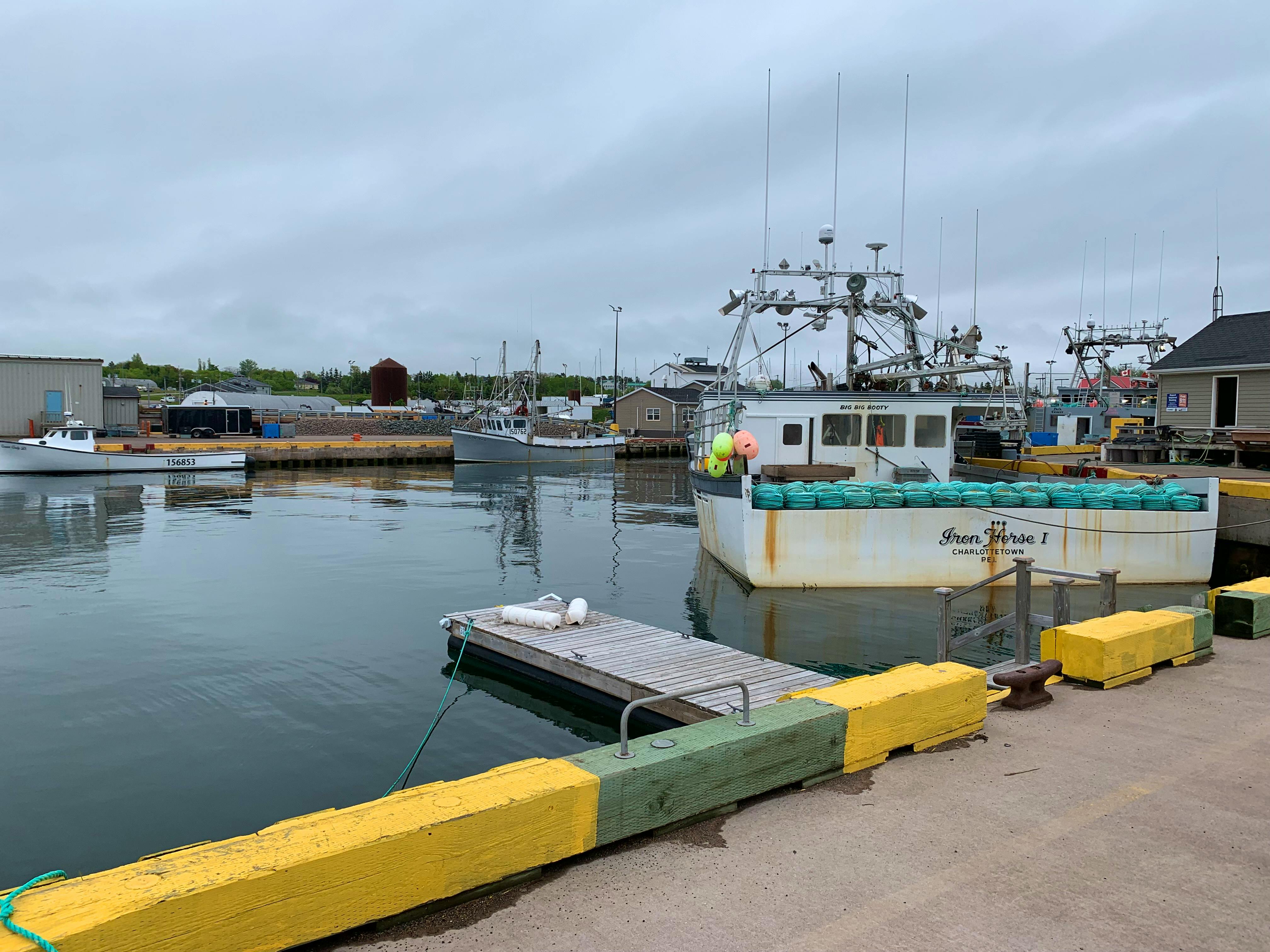 Op-ed: Fishermen Want to Break up a Dungeness Crab Monopoly