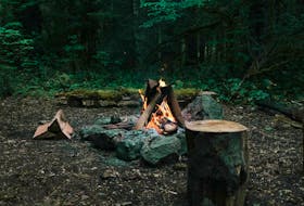 Forestry Minister Derrick Bragg has instituted an open fire ban for the island portion of Newfoundland and Labrador. Unsplash stock photo.
