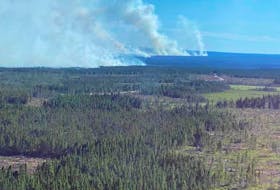 Grand Falls-Windsor-Buchans MHA Chris Tibbs shared this photo of the forest fire in central Newfoundland Saturday. A provincial government announced a statement of emergency for the area that day. — Chris Tibbs/Facebook