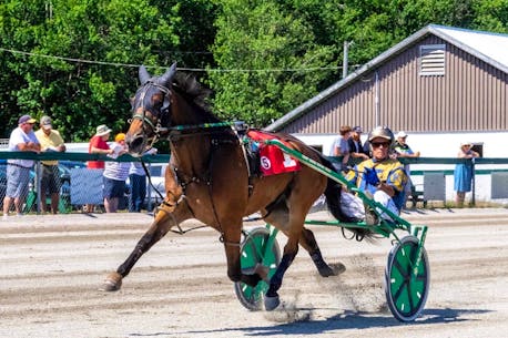 Sire Stakes steals the spotlight at Cape Breton's Northside Downs