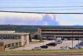 A photo posted to social media on the weekend by the Grand Falls-Windsor Fire Department shows forest-fire smoke in the distance.
