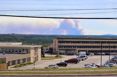 'The panic is over, at least for now': Change in wind direction allows residents to catch a breather from central Newfoundland forest fires