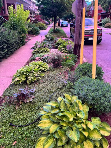 City-owned boulevards can be viewed as an opportunity to expand a garden vision. Contributed