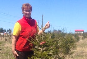 Mary Ellen Gaudet stands at her tree farm in Baltic, P.E.I. Gaudet took on the project in 2015 in memory of her cousin, John Edward Dalton. Contributed