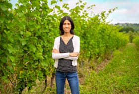 Saint Mary’s University researcher Dr. Clarissa Sit is shown here at L’Acadie Vineyards in Nova Scotia’s Gaspereau Valley. PHOTO CREDIT: Ryan Williams, Unbound Media Inc.
