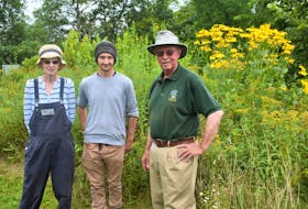 Friends of the Garden members Trina Mabey, Andrew Stewart and Grant Spearman in the Butterfly Meadow. The Friends meet every Wednesday morning on campus and are happy to welcome new people to their approximately 35 members. Richard MacKenzie