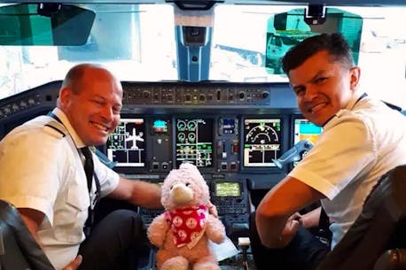 Wild adventure: After a stuffed toy was left at Halifax airport, strangers who saw a frantic mom's Facebook post go the extra mile to get Pinky to St. John's