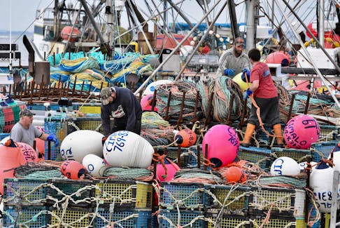 Fishermen at the wharf in Meteghan, Nova Scotia, tend to traps and gear aboard a lobster vessel prior to the start of the 2020 LFA 34 lobster season. TINA COMEAU/FILE PHOTO
