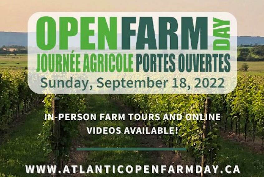 Farmers across P.E.I. are preparing for the 22nd annual Open Farm Day on Wednesday, Sept. 18, with each participating Island farm offering its own unique touring experience with in-person and virtual events.