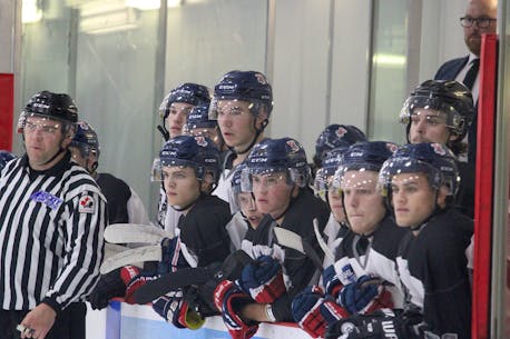 Berwick, N.S.,-based Valley Wildcats eager to begin Maritime Junior Hockey League season