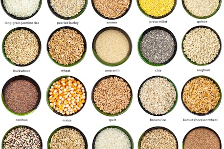 FOLLOW A FOODIE: The gains of grains