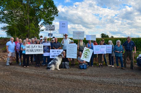 Protesters occupy site of proposed aerial spray on Nova Scotia’s North Mountain range