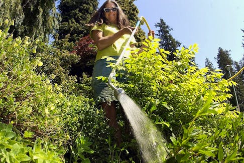 Gardener Diane Halbert  uses the water wand on some flower beds in the park.  