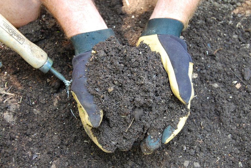 There are many benefits to using compost, including retaining moisture and feeding plants nutrients.