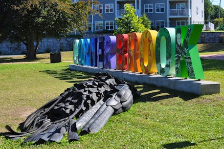 Something to crow about: Art installation causing a buzz in Corner Brook