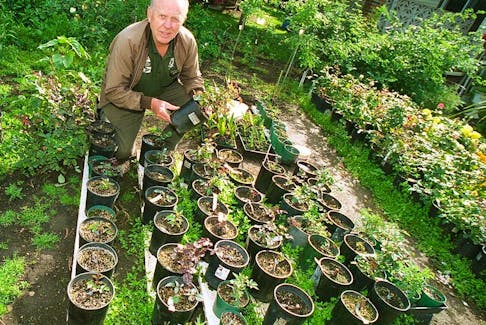 By mid-October Fred Goodhelpsen will have 'tucked in' about 100 of his most tender rose plants in a hand-dug trench.

Fred Goodhelpsen with his many fantastic roses.  Shots of front of house, in back with pots he will be burying which he says is Oct. 13 always unless raining.  Story by Sue Hossart.