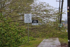 A downed tree blocks Allen St. in Charlottetown on September 24. Hurricane Fiona downed trees throughout P.E.I., resulting in a loss of power to tens of thousands of households. No serious injuries have yet been reported.