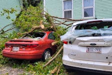Broken tree limbs lay on top of damaged cars in a Charlottetown parking lot after post tropical storm Fiona. - Logan MacLean
