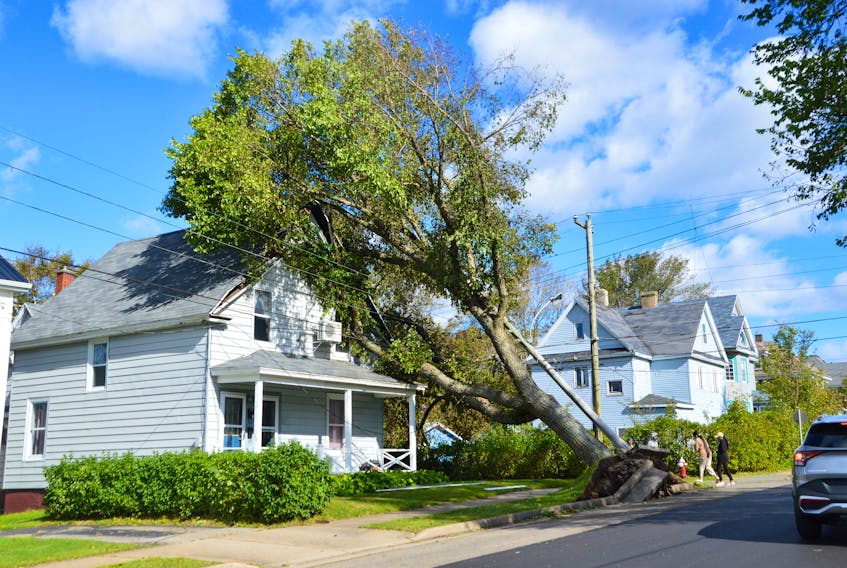 A power line was pulled down by a tree that was uprooted by Fiona's hurricane-force winds. The tree fell into this home on Union Street in Sydney and ripped up the roof, causing major damage to the rental unit. NICOLE SULLIVAN / CAPE BRETON POST
