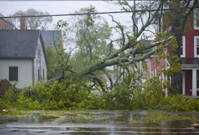 Heavy winds from post-tropical storm Fiona uprooted this tree on Prince Street in Charlottetown. Nathan Rochford • Special to The Guardian
